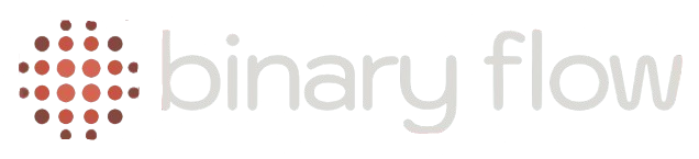 BinaryFlow Logo